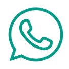 WhatsApp Icon
